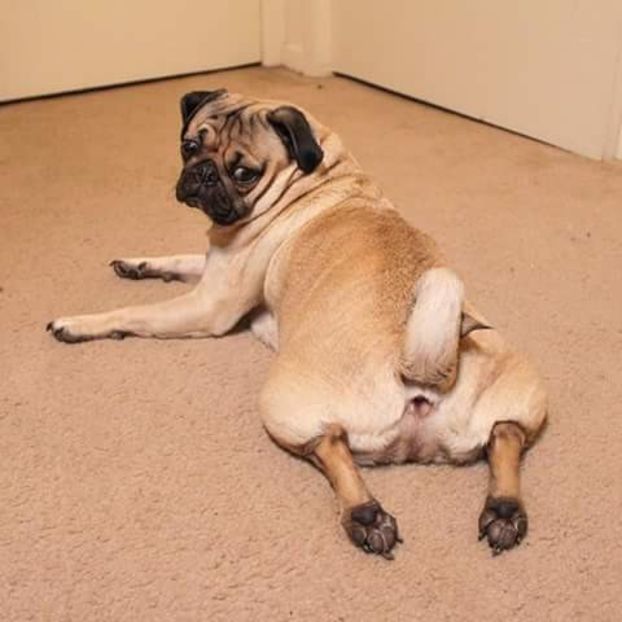 *se base;;ste deoarece se simte vinovat* - episodul 53