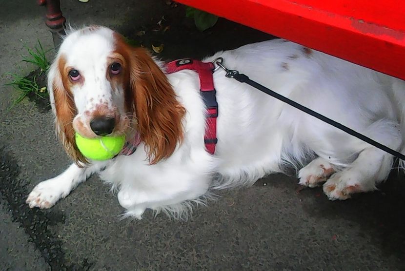 Nuovo_1_Photo8874 - Mimi