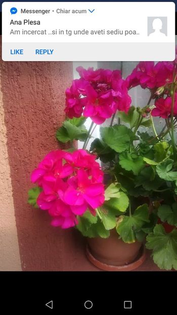 Screenshot_20180717-211934 - Muscate