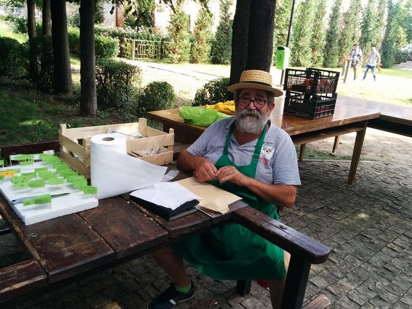  - A - A Festivalul tomatelor si biodiversitatii Buzau - 2018