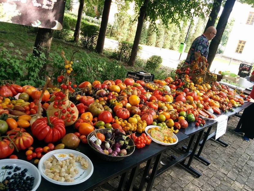  - A - A Festivalul tomatelor si biodiversitatii Buzau - 2018