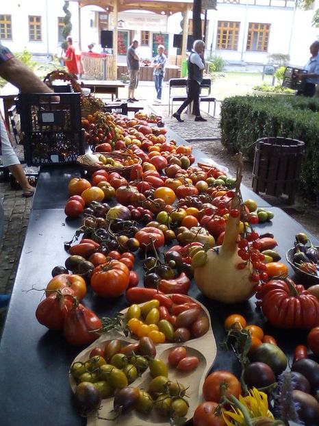  - A - A Festivalul tomatelor si biodiversitatii Buzau - 2018