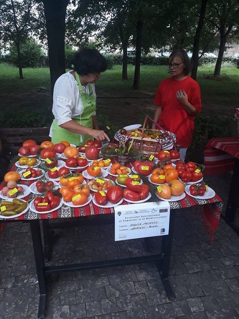  - A - A Festivalul tomatelor si biodiversitatii Buzau - 2018