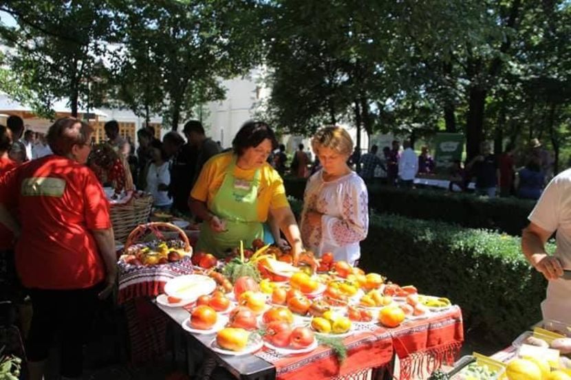  - A - A Festivalul tomatelor si biodiversitatii Buzau - 2018