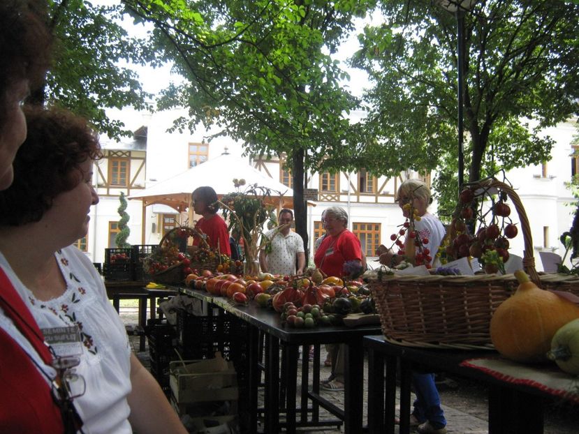  - A - A Festivalul tomatelor si biodiversitatii Buzau - 2018