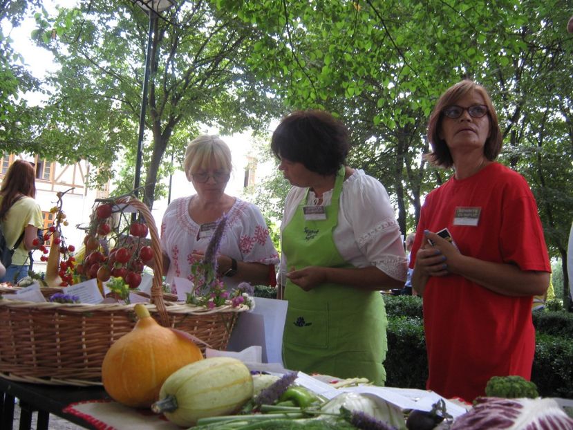  - A - A Festivalul tomatelor si biodiversitatii Buzau - 2018