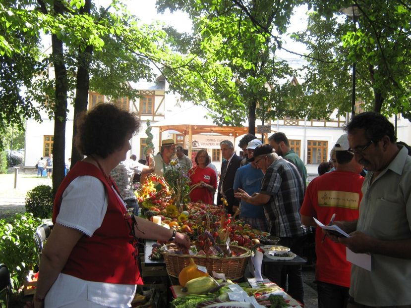  - A - A Festivalul tomatelor si biodiversitatii Buzau - 2018