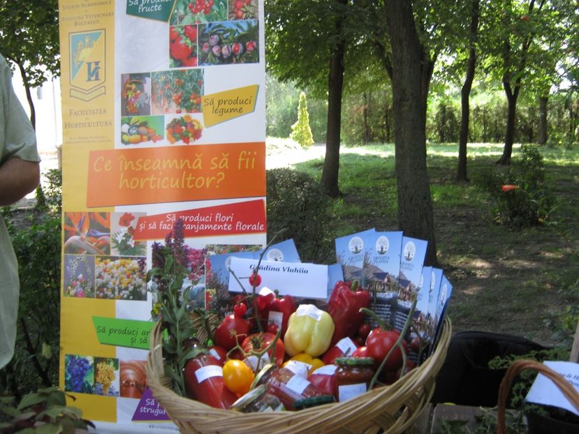  - A - A Festivalul tomatelor si biodiversitatii Buzau - 2018
