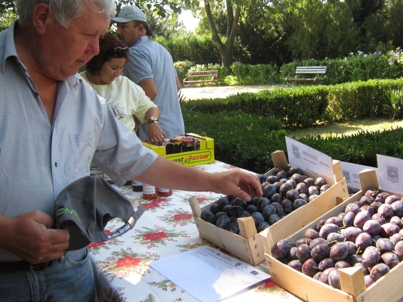  - A - A Festivalul tomatelor si biodiversitatii Buzau - 2018