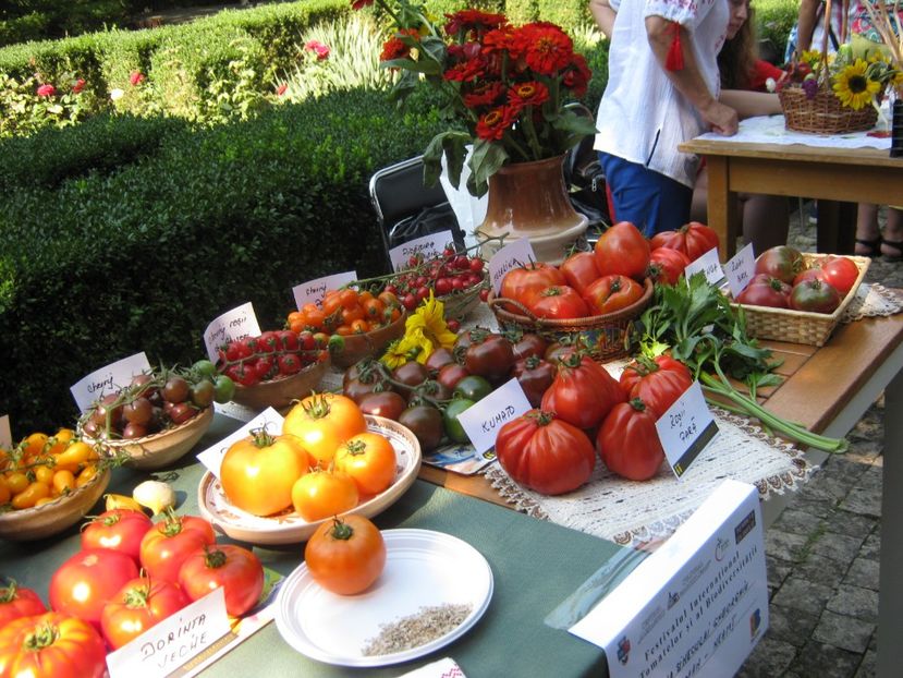  - A - A Festivalul tomatelor si biodiversitatii Buzau - 2018