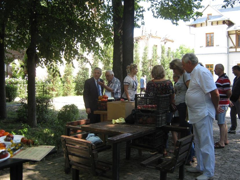  - A - A Festivalul tomatelor si biodiversitatii Buzau - 2018