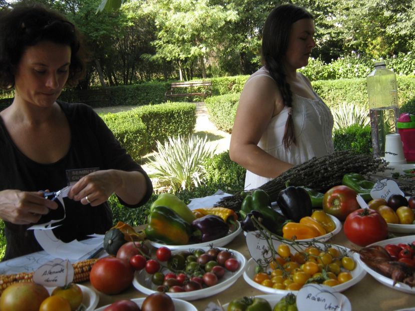  - A - A Festivalul tomatelor si biodiversitatii Buzau - 2018