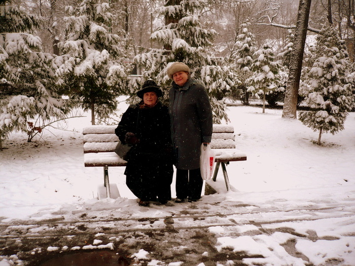 IN PARC - 03-IARNA 2009-2010 BRASOV