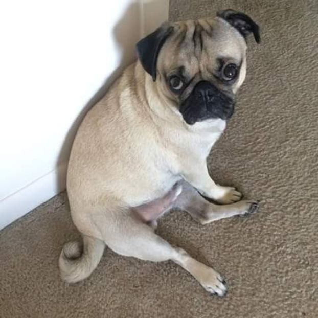 *fuge din pat si se uita la el speriat* - episodul 54