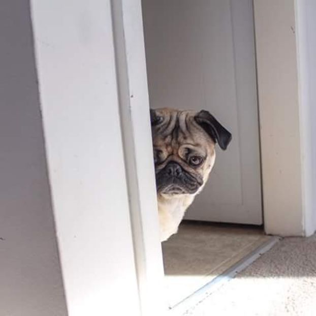 *sta in pragul usii lui Alex* - episodul 54