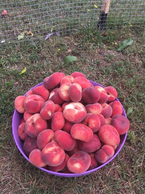 2D17EAF9-F154-4B4E-8DBB-3B83EBDF0710 - 2018