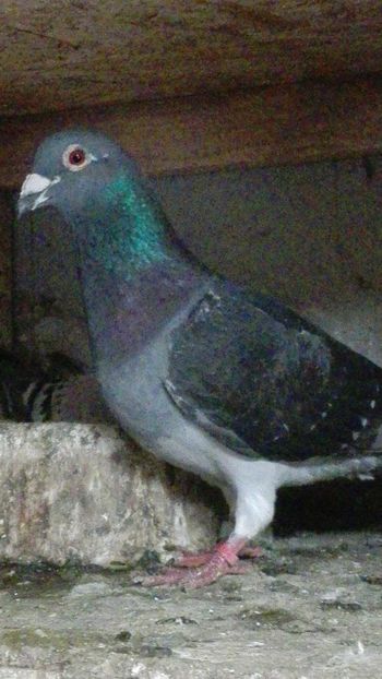 Tartu 2018 - Tartu 2018