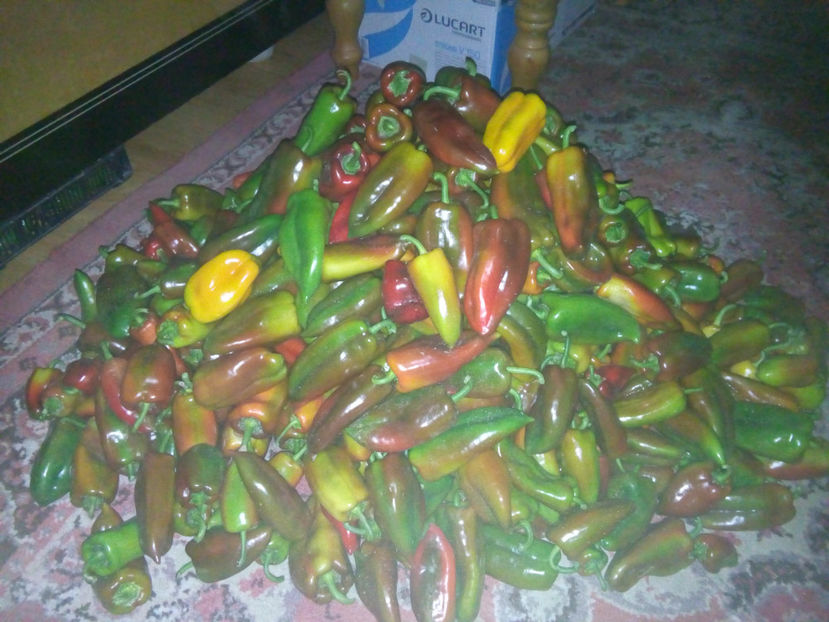  - Recoltă GDL