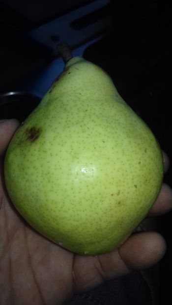  - Pară de la Vasile Pletea posibil Favorita lui Clapp