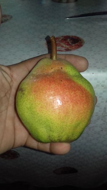  - Belle de Juen Alany