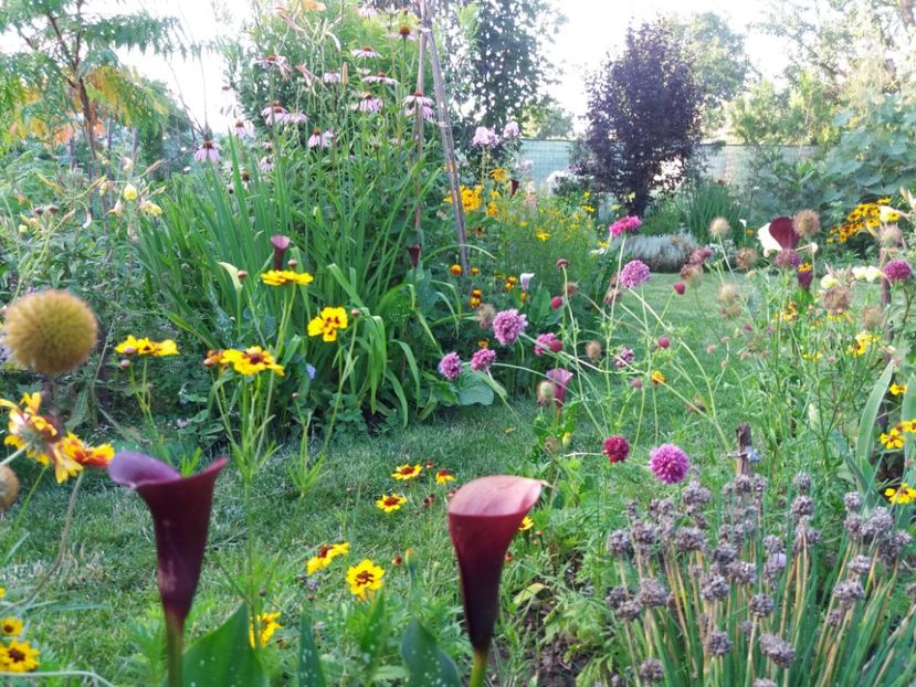  - Gradina 2018