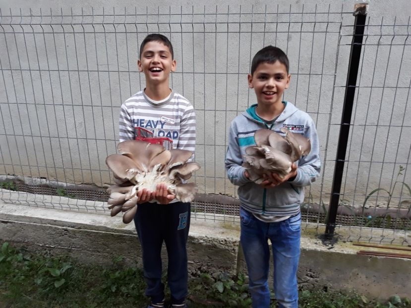  - x - gemenii si fetita mea