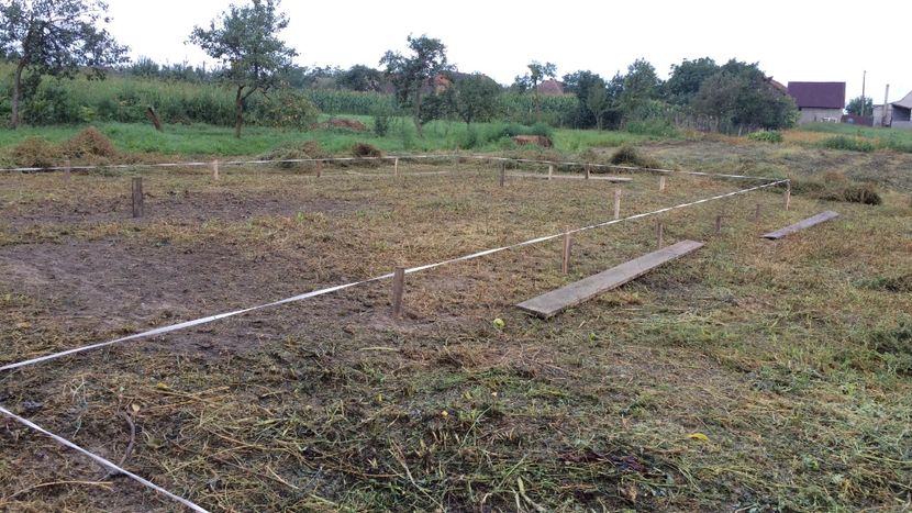 20A23CCF-4D9E-4D49-AD8D-74B0D92A3346 - Ferma wyandotte coteț pentru gaini