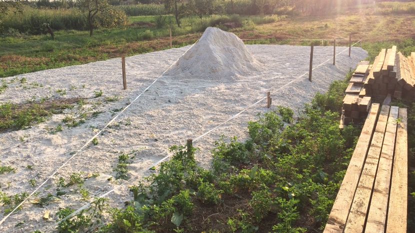 454A1FD4-90EB-44B6-8D57-57581B5CE72A - Ferma wyandotte coteț pentru gaini