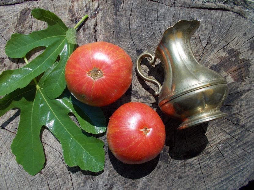  - SEMINTE ROSII - PURPLE PASSION