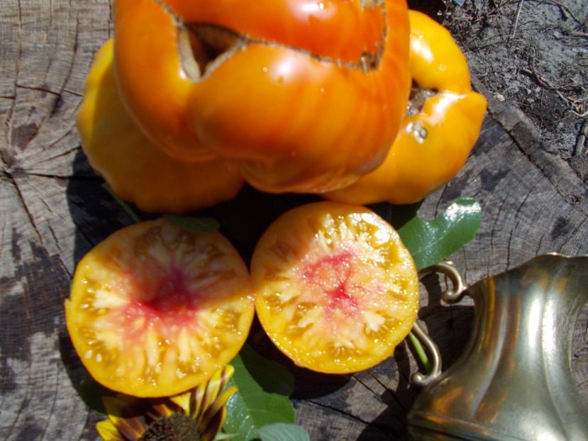  - SEMINTE ROSII - OLD GERMAN STRIPED