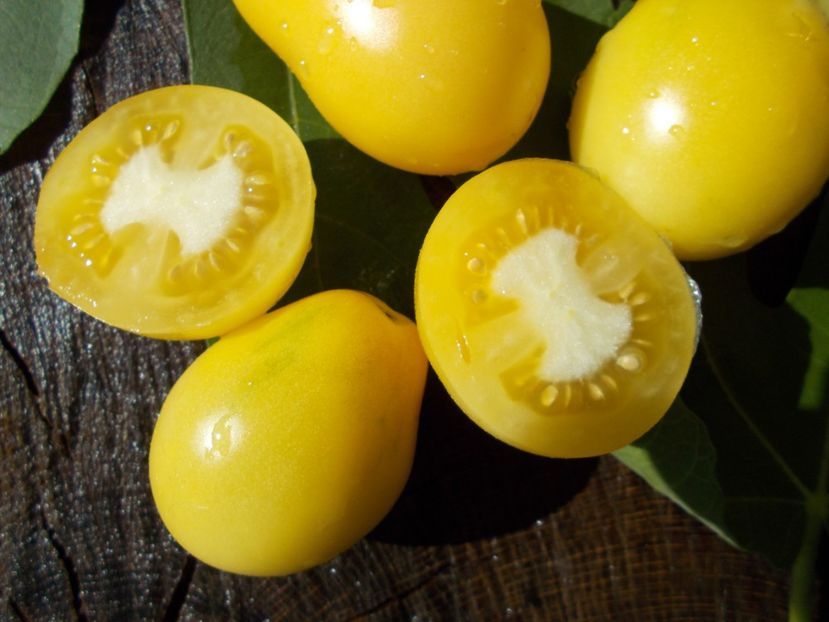  - SEMINTE ROSII - POIRE BLANCHE