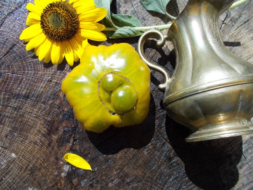  - SEMINTE ROSII - EVER GREEN