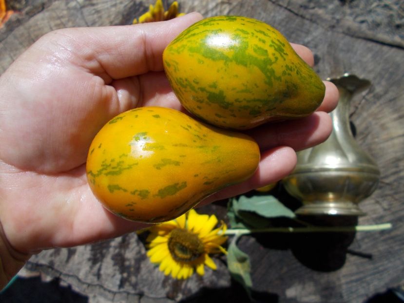  - SEMINTE ROSII - MICHAEL POLLAN