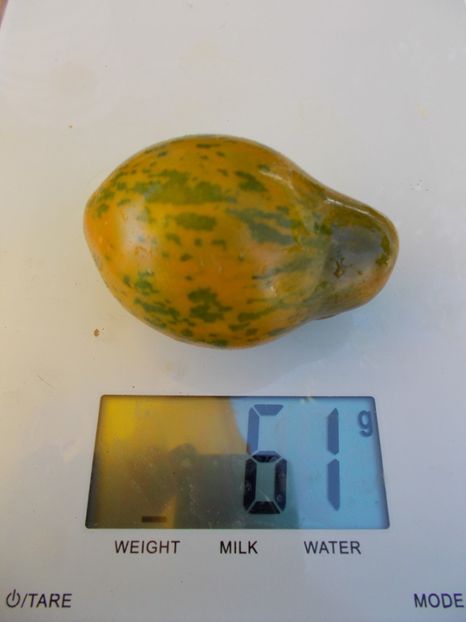  - SEMINTE ROSII - MICHAEL POLLAN