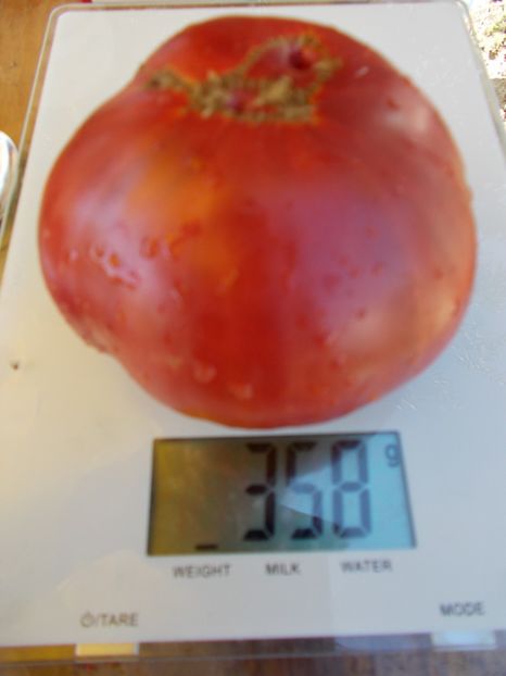  - SEMINTE ROSII - GREGORY S ALTAI