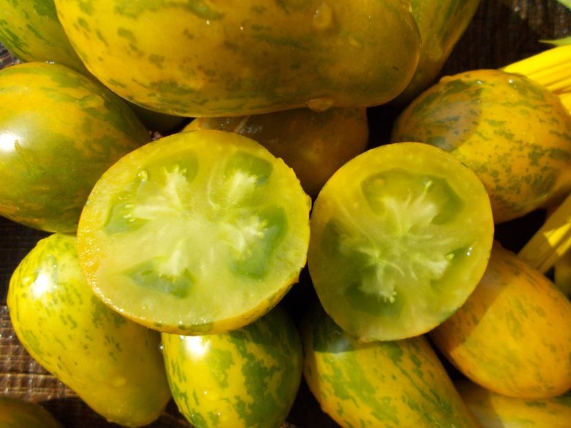  - SEMINTE ROSII - MICHAEL POLLAN