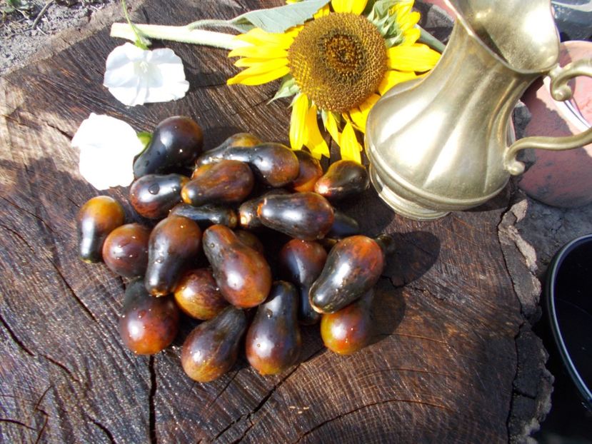  - SEMINTE ROSII - BLUE KEYES