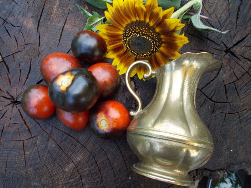  - SEMINTE ROSII - BLUE BAYOU