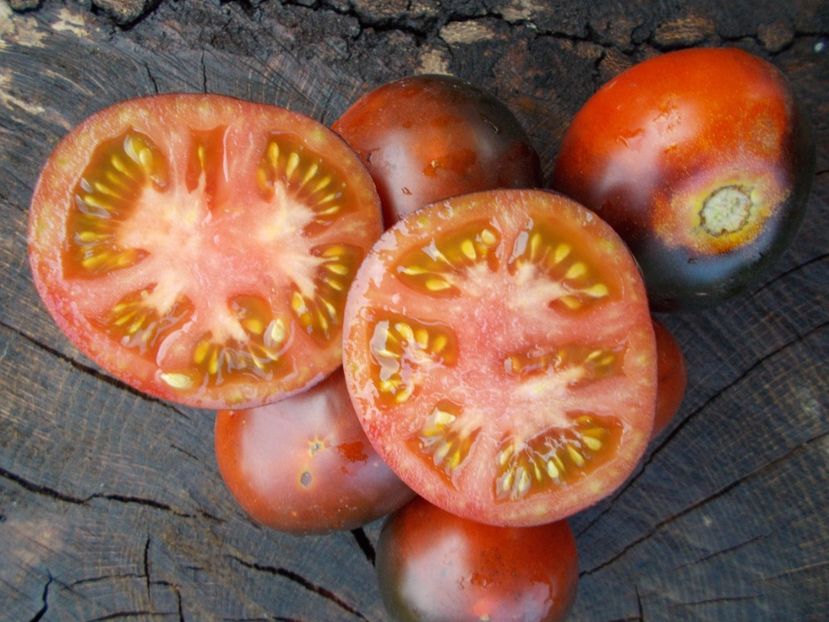  - SEMINTE ROSII - BLUE BAYOU