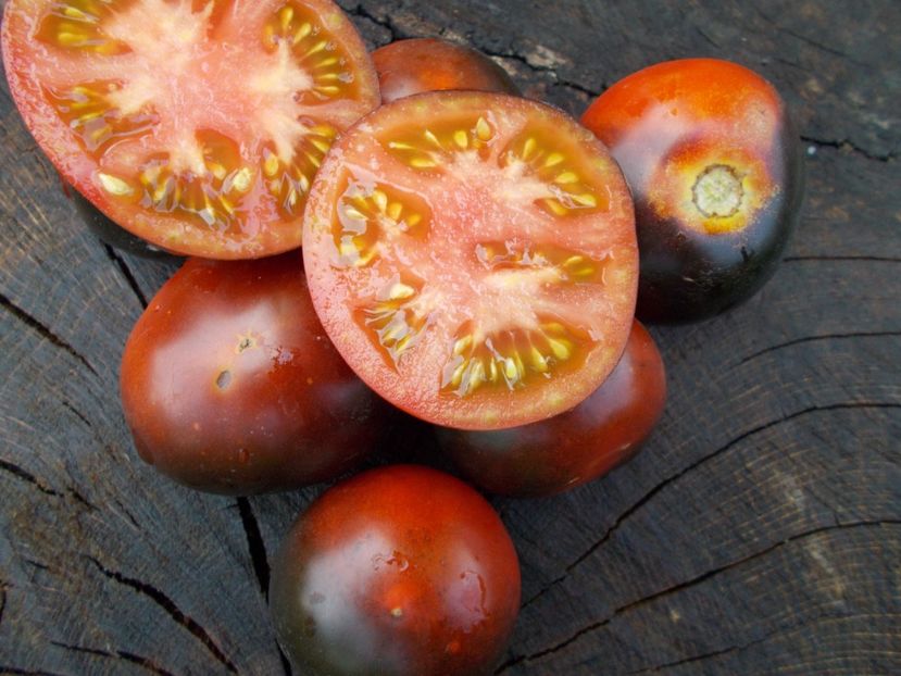  - SEMINTE ROSII - BLUE BAYOU