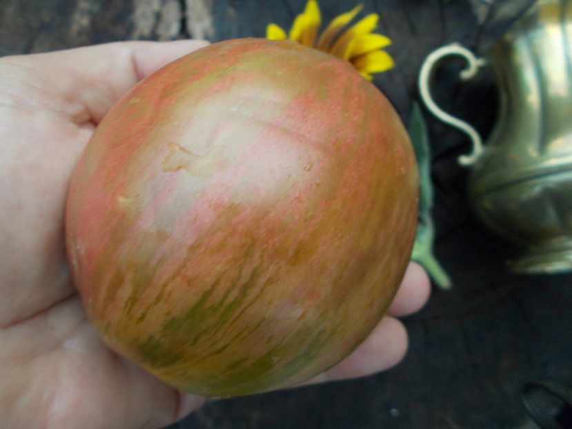  - SEMINTE ROSII - CHLOE