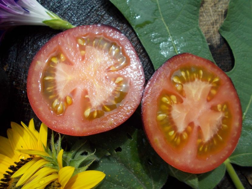  - SEMINTE ROSII - H 34 ROT - JOLIE COEUR