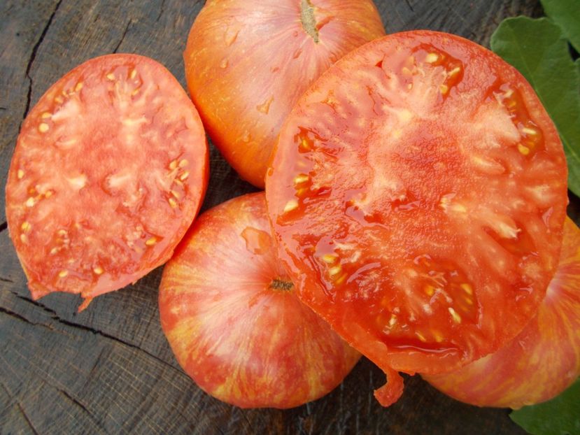  - SEMINTE ROSII - PURPLE PASSION