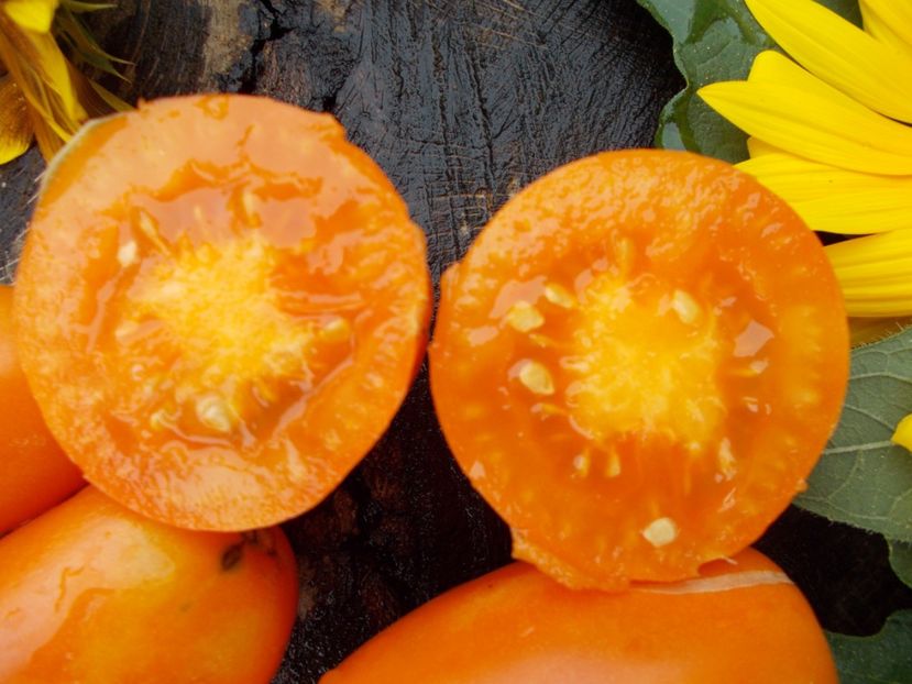  - SEMINTE ROSII - ORANGE ICICLE