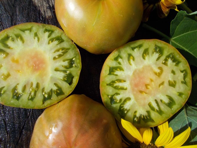  - SEMINTE ROSII - ANANAS NOIRE