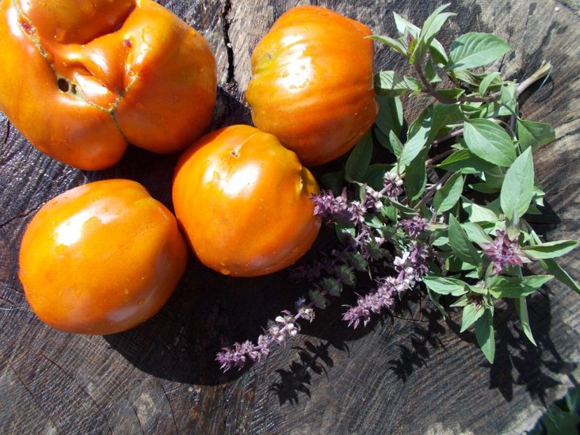  - SEMINTE ROSII - REINHARD CHOCOLATE HEART