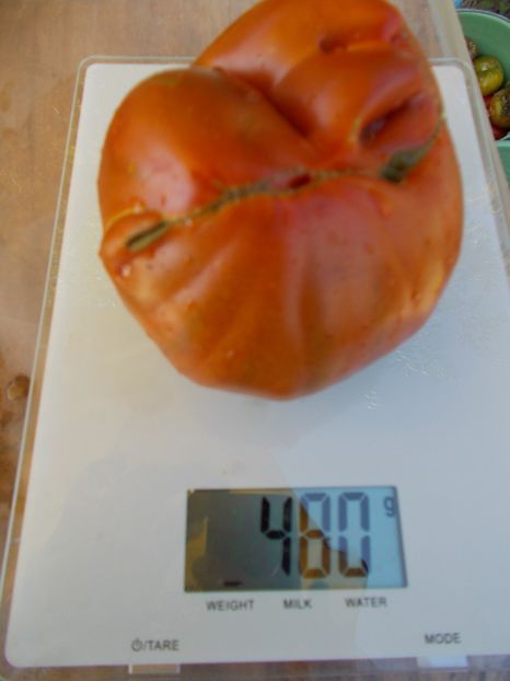  - SEMINTE ROSII - REINHARD CHOCOLATE HEART