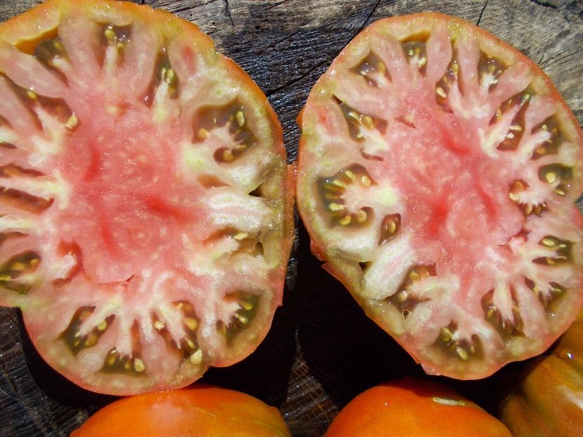  - SEMINTE ROSII - REINHARD CHOCOLATE HEART