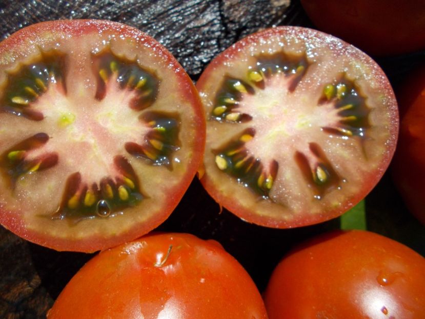  - SEMINTE ROSII - COCKTAIL CHOCOLATE