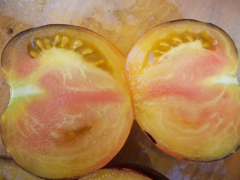  - SEMINTE ROSII - YELLOW DRAGON